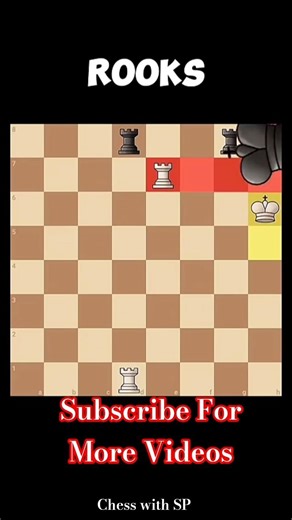 ✖️ Rook V/S Rook✖️ #chess #scandinaviandefense #carokannopening #memes #europeanchess #chessworld