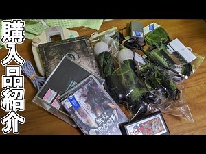 【購入品紹介】モーションコントローラーついにゲット！PS2をHDMI化！