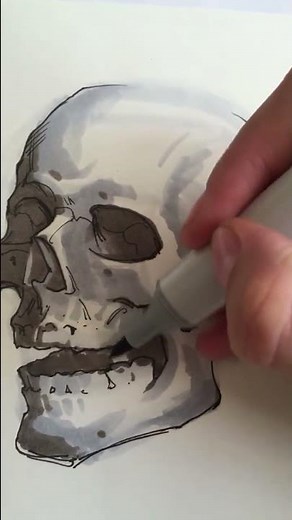 Drawing and Shading a Skull