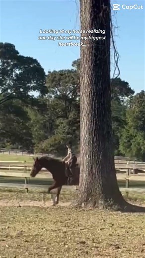 Sorry that was my first time cantering my big horse 🐴