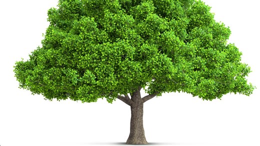 Houston Business Journal honors 50 top family-owned companies