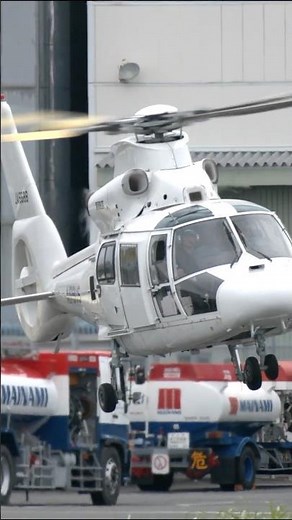 Aerospatiale SA365:AS365:565 Dauphin 2:Panther Hover check #東京ヘリポート #automobile #rjti #東邦航空 #航空自衛隊