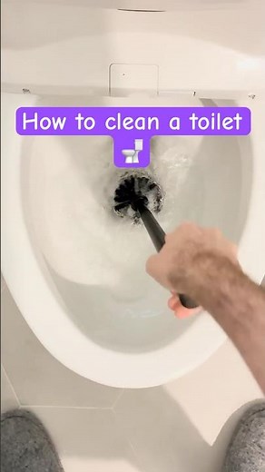 Easy How To Clean Toilet With Clorox Bleach in 40 Seconds