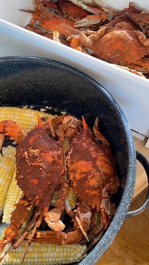 18K views · 302 reactions | Reheat blue crabs 呂 while steaming some fresh corn ?Sure! We professionally steam our crabs so when you get them, you can eat them cold or reheat them at home. Fresh corn only takes about 2-5 minutes to cook and it’s perfect. So why not prepare the crabs and corn together!! We ship our crabs nationwide! #crabs #crab #bluecrabs #chesapeake #maryland #foodie #crabmeat #crablover #corn | CrabPlace.com | Facebook