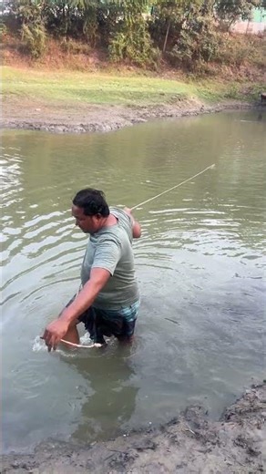 Fisherman catching fish from the beel