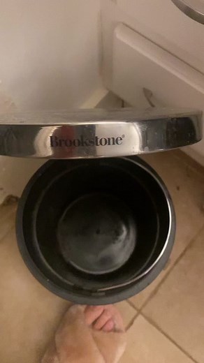 Fun Cat Quiz: 2 Truths and a Lie