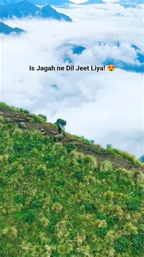 No Internet, No Tension, Just Peace 🏔️#NatureLover #PeacefulVibes #Mountains