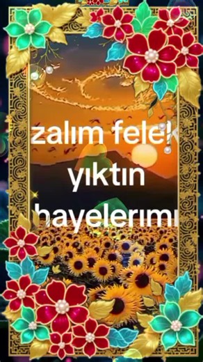 Stunning Animated Sunflower and Floral Images