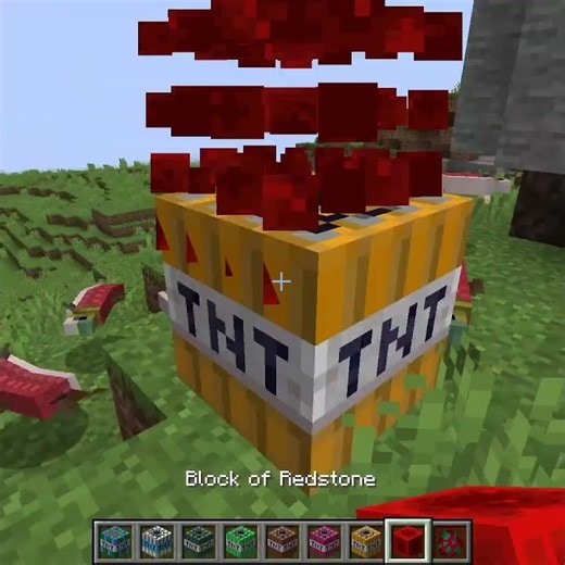 Tnt vs Mob 348