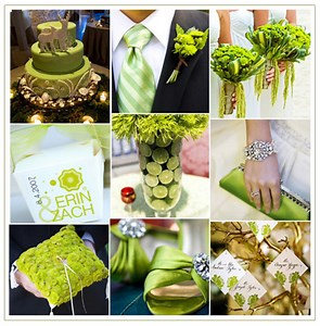 Lime Green and White Wedding Ideas: Wedding Color Themes