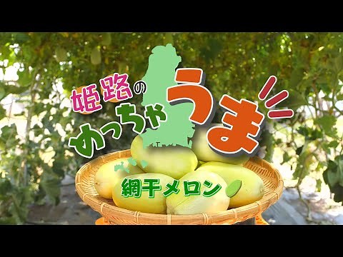 姫路のめっちゃうま動画（網干メロン）