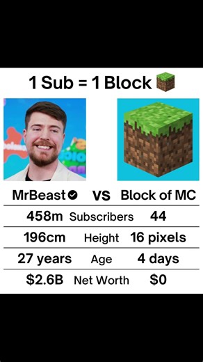 Can we do this? 🔍 #minecraft #mrbeast #blockofminecraft #blockofminecraftvsmrbeast