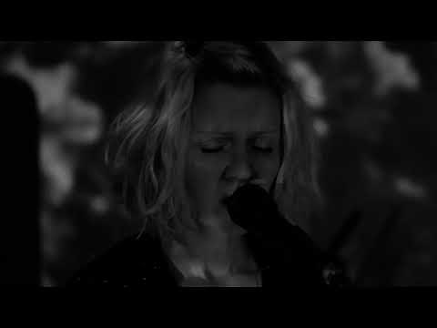 THE HONSHU WOLVES Last Night - The Basement Live Sessions