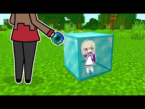 MINECRAFT PERO PODEMOS ENTRAR DENTRO DE CUALQUIER BLOQUE