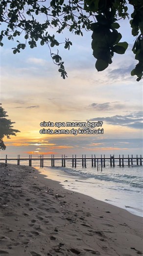 Cinta Apa Macam Begini? Cinta Macam Kuda Cuki