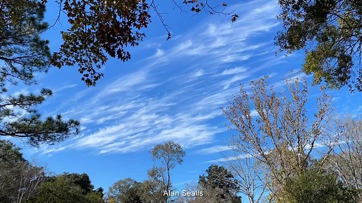 48 reactions · 4 comments | Cirrus clouds today, as “mare’s tails.” Cloud Appreciation Society US National Weather Service Mobile Alabama | Alan Sealls Weather | Facebook
