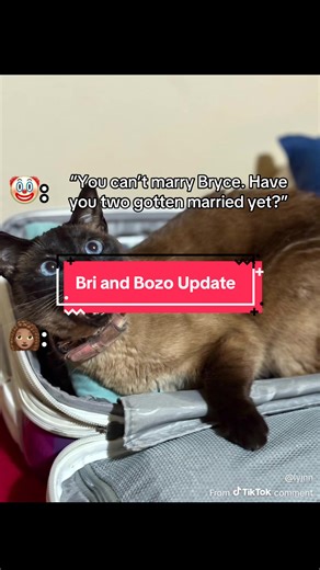 Understanding Parental Alienation in Co-Parenting Scenarios