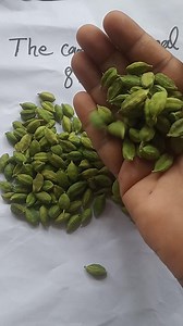 1K views | RATE UPDATE date : 26/06/21 Cardamom, elaichi available her Kerala idukki All over india delivery and export other country. 8.5mm 1850 8+ mm 1750 7-8 mm 1450 6-7mm 1250 5-6 mm 990 Clove 750 Pepper 480 Cinnamon 380 Mace flower 2000 Gst 5 % and transportation extra Call or whatsapp 9961155566 | The cardamom Deal | Facebook