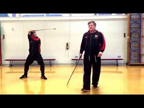 Longsword Lessons: Primary Postures - Tag, Ochs, Pflug & Olber overview