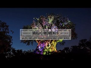 Magic Moments - An Epic Time-lapse Journey Through the Magic of Walt Disney World