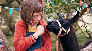 In "MEIN LOTTA-LEBEN - ALLES TSCHAKA MIT ALPAKA" freut sich Lotta riesig auf ihre erste Klassenfahrt. 😍🎒 Endlich ohne Eltern & mit ihren besten Freunden Amrum unsicher machen. 🦙 Ab 18. August bei uns im Kino! 🍿 | Cineplexx