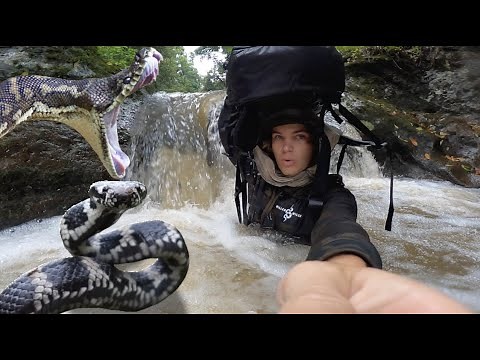 Surviving 24 hours on SNAKE ISLAND Challenge (Uninhabited/Primitive/Fishing)