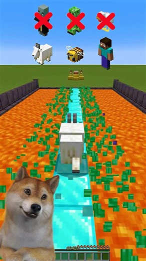 WHO WILL PASS THE DIFFICULT TRACK IN MINECRAFT?! 😳
