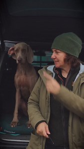 Beides Jagdhunde – und trotzdem völlig verschieden. Der Weimaraner sucht Weite und Führung. Der Bayerische Gebirgsschweißhund bleibt nah und vertraut. Wer so unterschiedliche Hunde führen will, braucht mehr als Kommandos. Er braucht Kommunikation, Timing und Ruhe. 🎯 Wenn du lernen willst, wie du deinen Jagdhund ruhig und souverän führst, kommentiere „Academy“ und du bekommst Infos zu meinem Monatsabo. #hundetraining #weimaraner #bayerischergebirgsschweißhund #jagdhund #hundeverhalten #hundeerzi