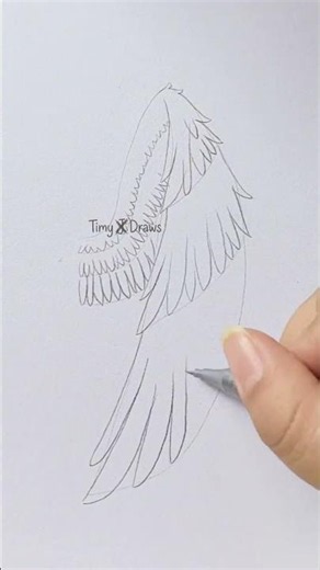 How to Draw Angel Wings Easily | Step-by-Step Drawing Tutorial #drawing #artshorts #art