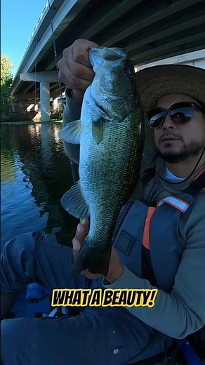 Bass fishing Under I-35 in Austin, TX. #bassfishing #kayakfishingtips #fishing #kayakbassfishing