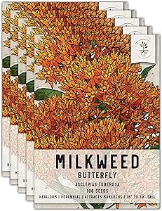 Seed Needs Orange Butterfly Milkweed Seeds for Planting - Heirloom & Untreated - Grow a Butterfly Garden to Attract Monarch Butterflies & Pollinators (5 Packs)