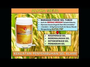 ALPHA META (Bahasa Indonesia)