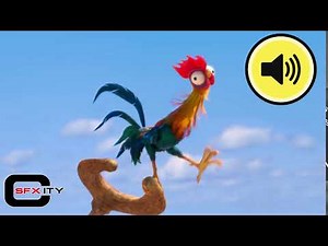 Moana Chicken Sound Effect - Screaming