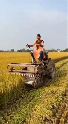 Smart Farmer Working in Paddy Field | Modern Rice Cutting Technology #farmer