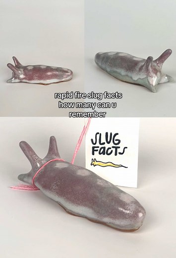 my newest holiday slug sweeties available now:) ⭐️ #ceramics #slugs #handbuilding #holidaygift