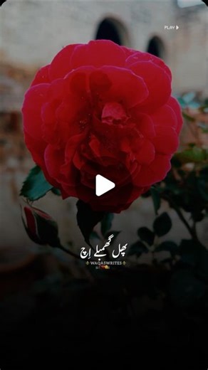 ⚜️ WaqasWrites ⚜️ on Instagram