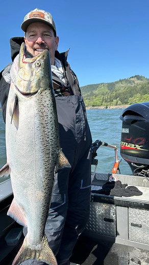 Spring chinook ‘25 has been one to remember! We are chasing salmon for the next 7 months 5094805945 to get on the calendar! #catchallthefish #7monthsofsalmon | Mitchell-Sportfishing