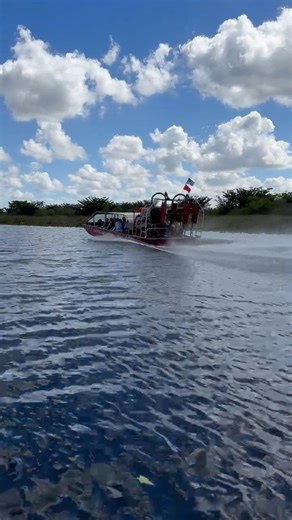 Come take a ride on Glade Runner — our high-performance Everglades airboat built for speed, thrills, and serious fun. This speed trail video says it all… but nothing beats feeling it for yourself! 💨🌞 Get out here and experience: ⚡ High-speed Everglades airboat tour through scenic wetlands 🌿 Up-close views of Florida’s unique wildlife and landscape ☀️ A full day of fun in the sun for the whole family 🌊 The thrill of gliding across the water on a custom airboat ride Book your Everglades advent