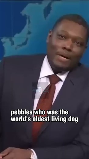 Best of Weekend Update | SNL fansss