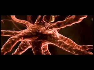 REvolution 2012 (Teil1) - Ein Film von Dieter Broers