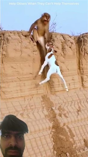 #trendingshortsvideo