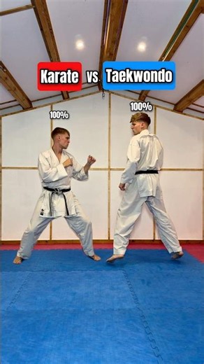 Karate VS taekwondo…