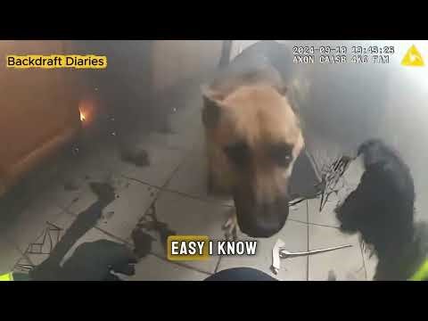 FIRE, WATER, ICE: A Week of Miracles on the Front Lines! 🔥 #subscribe