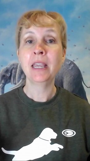 What your animals truly want most is your ✨ presence ✨ . Just being there in the moment with them, no matter what that moment brings, can have a profound impact on their wellness and healing. If you find yourself caught up in daily tasks or being present is difficult for you, there are some strategies that can be really helpful. Learn more about it here: https://animalreikisource.com/the-6-pillars-of-the-let-animals-lead-method-of-animal-reiki/ | Animal Reiki Source | Facebook