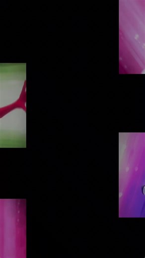 #miraculous #ladybug #ladynoire #multimouse #aqualadybug #fyp