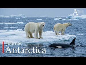 Journey Antarctica | Inside Earth’s Most Extreme Frozen World
