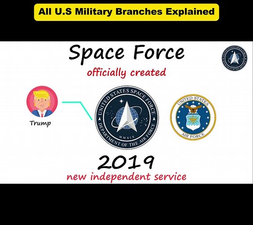 Understanding the U.S. Military Branches: Roles and Strengths