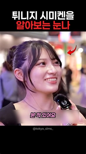 튀니지 시미켄을 알아보는 눈나