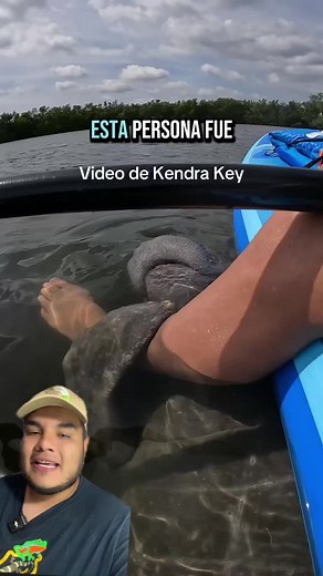 Abrazada por un manatí: Descubre el mundo animal