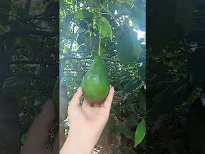 Lisbeth y la magia de lo simple 😁 está en vivo